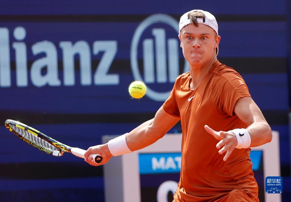 酒精饮料 酒精饮料