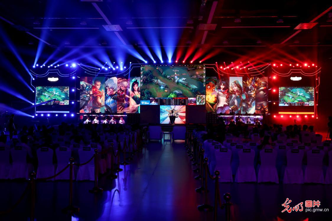 活动期间 活动期间